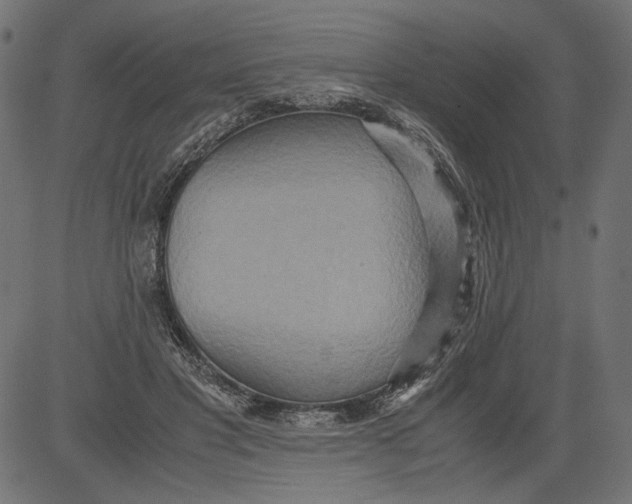 X0000081370501200702020209