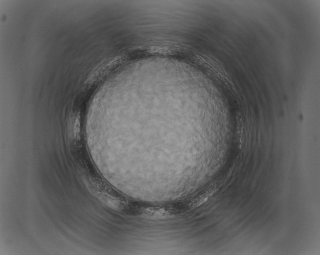 X0000081370502200702020209