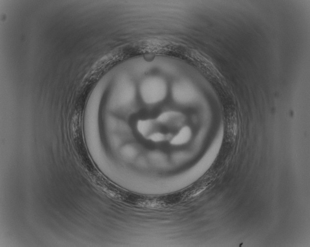 X0000081370503200702020209