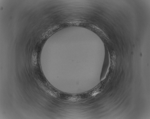 X0000081370504200702020208