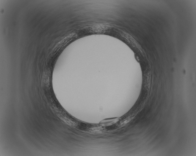 X0000081370505200702020208