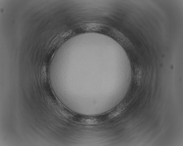 X0000081370506200702020208