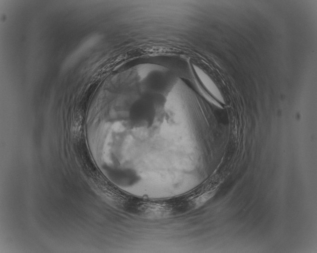 X0000081370507200702020208