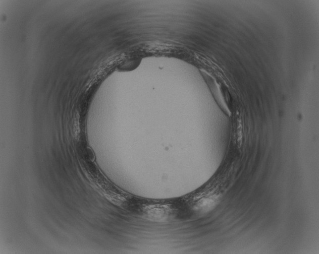 X0000081370508200702020208