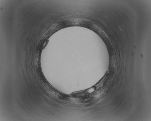 X0000081370509200702020208