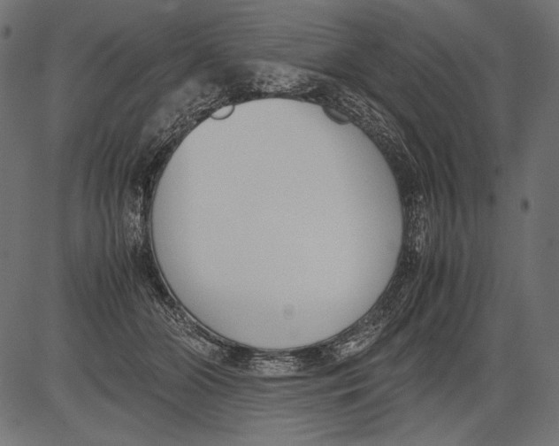 X0000081370510200702020208