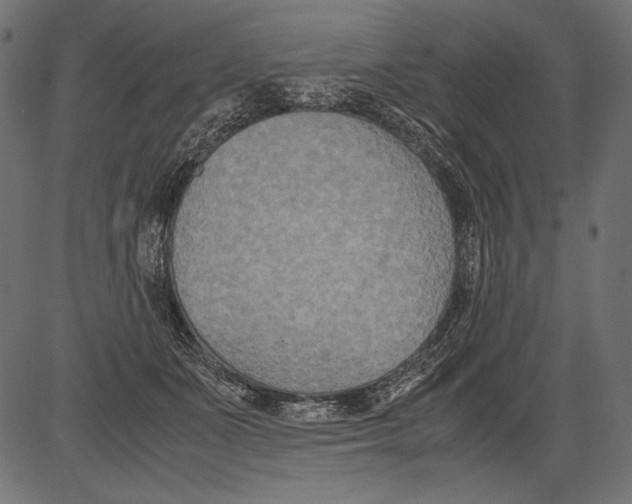 X0000081370511200702020208