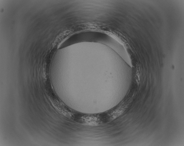 X0000081370512200702020208