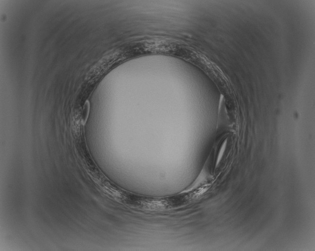 X0000081370513200702020208