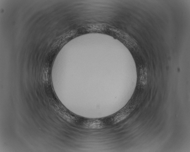 X0000081370514200702020208