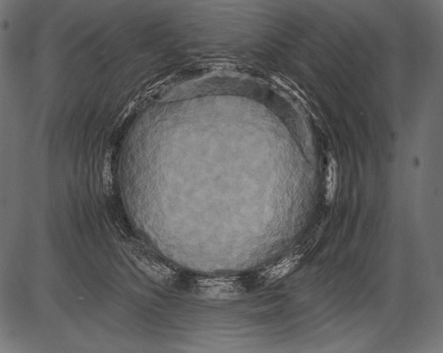 X0000081370516200702020208