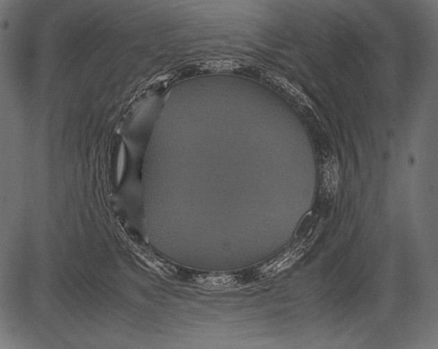 X0000081370517200702020208