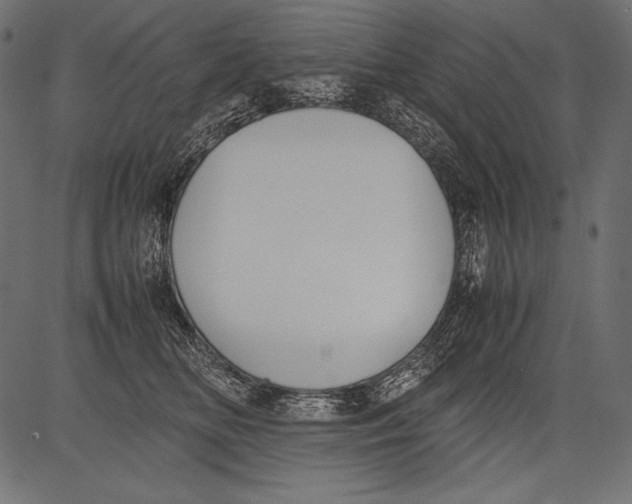 X0000081370518200702020208