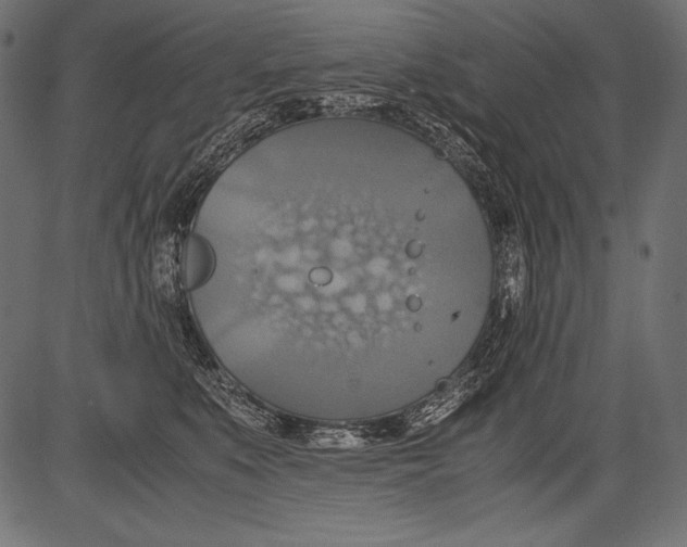 X0000081370519200702020208