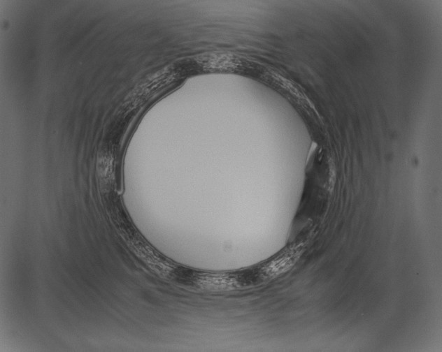 X0000081370521200702020208