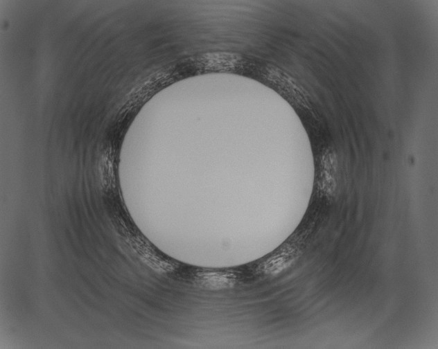 X0000081370522200702020208