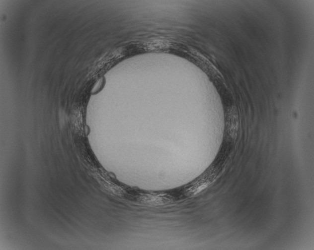 X0000081370523200702020208