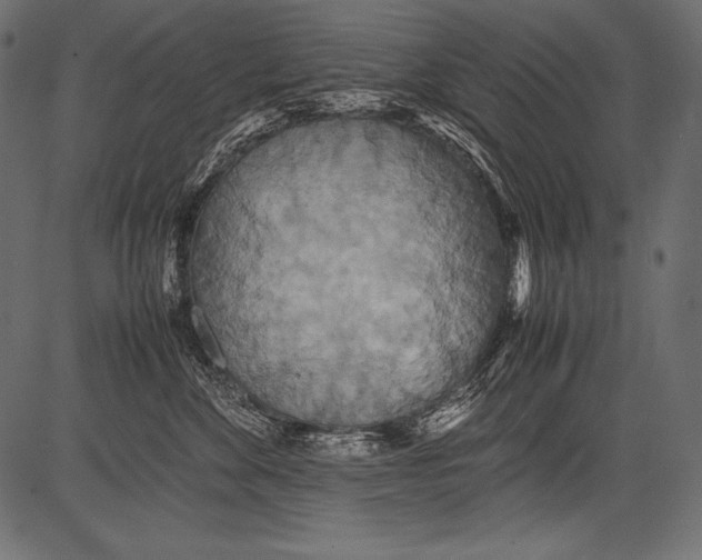 X0000081370524200702020208