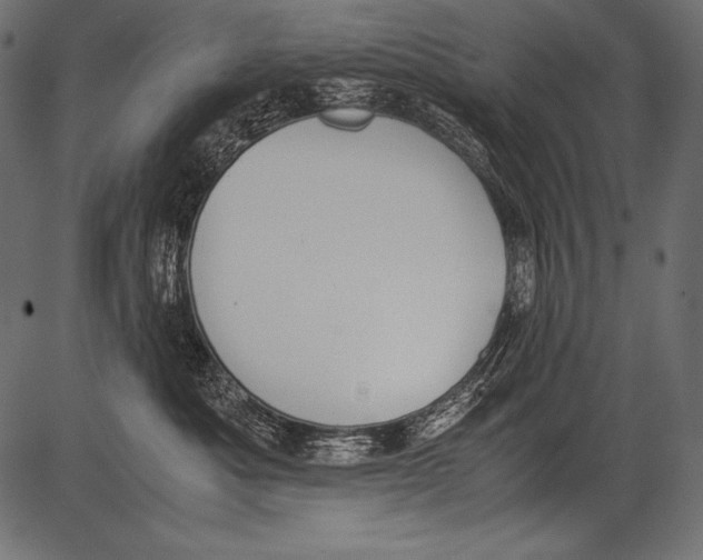 X0000081370525200702020208