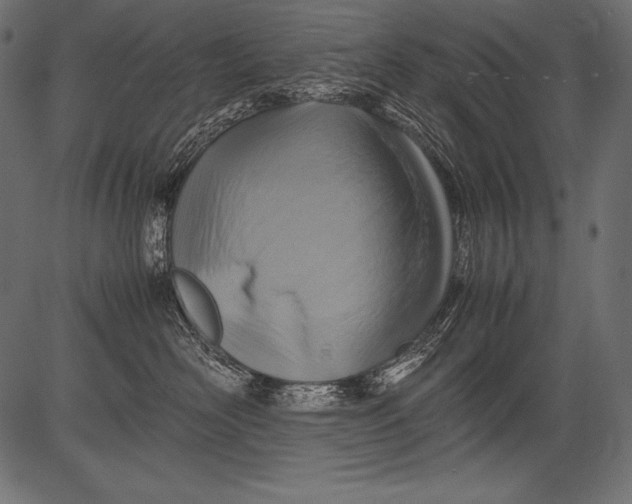 X0000081370526200702020208