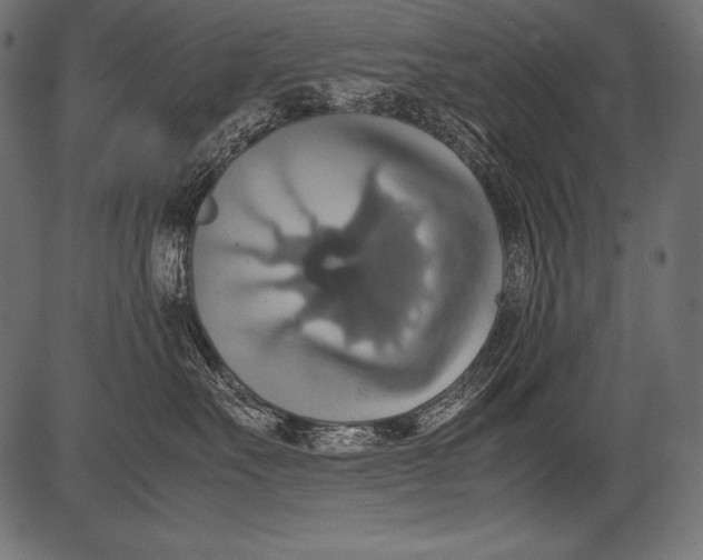 X0000081370527200702020208