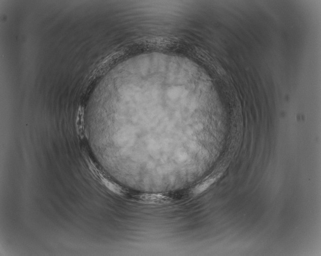 X0000081370528200702020208