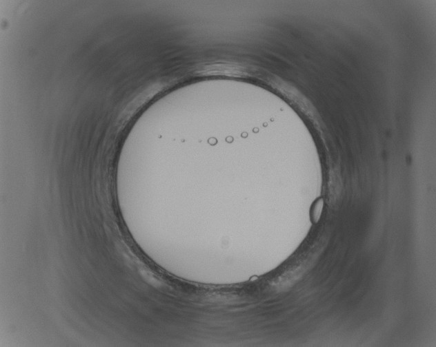 X0000081370529200702020207