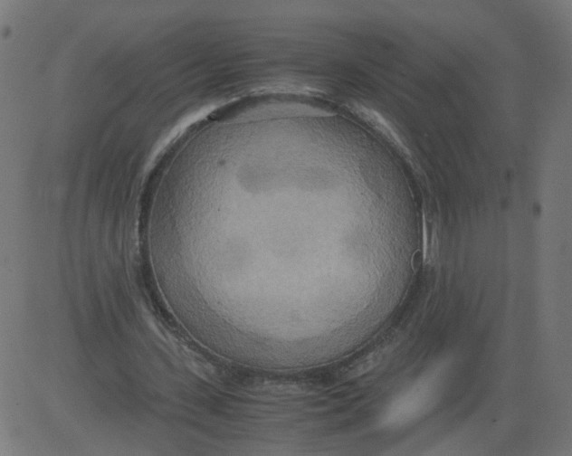 X0000081370531200702020207