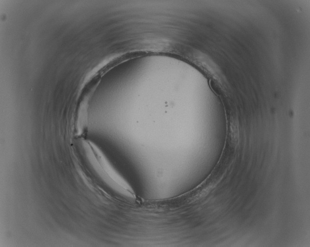 X0000081370532200702020207