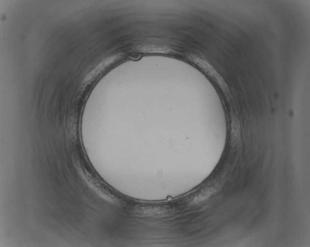 X0000081370533200702020207