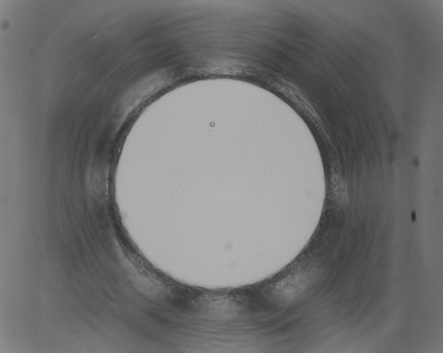 X0000081370534200702020207