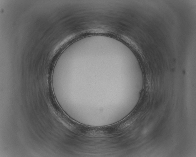 X0000081370535200702020207