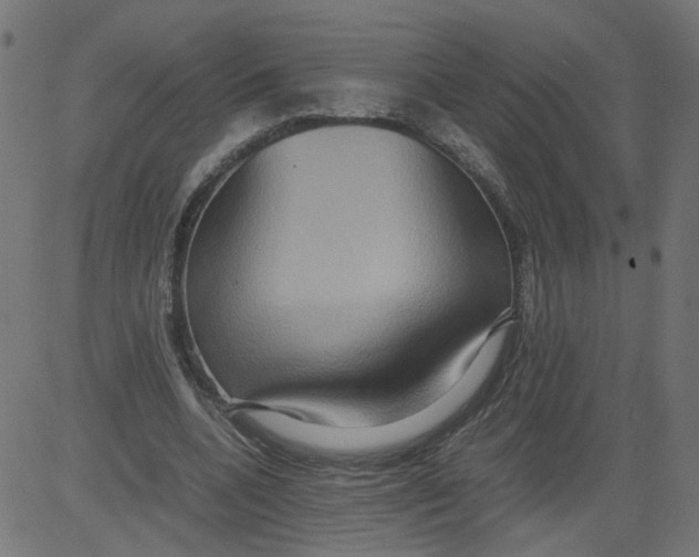 X0000081370536200702020207