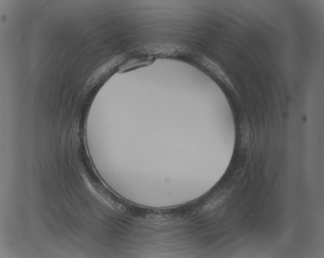 X0000081370538200702020207