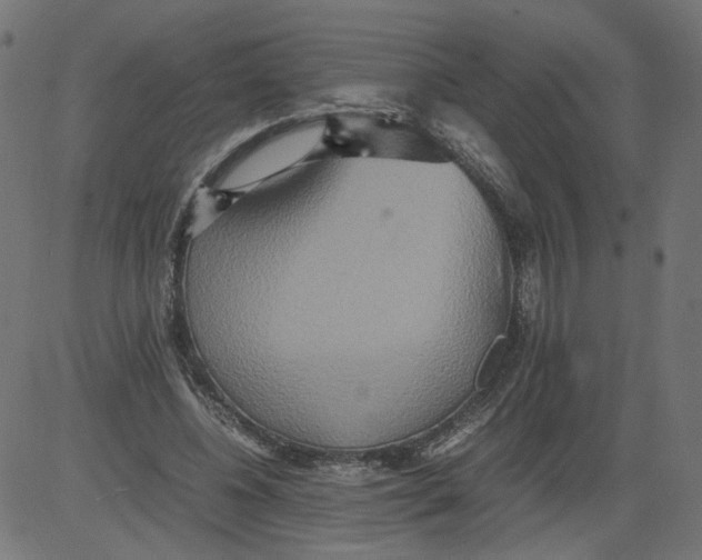 X0000081370540200702020207