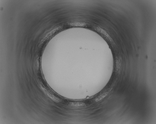 X0000081370541200702020208