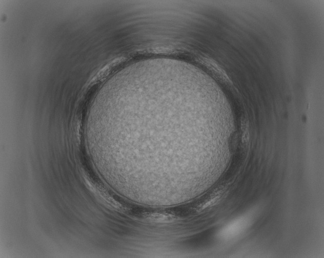 X0000081370542200702020208