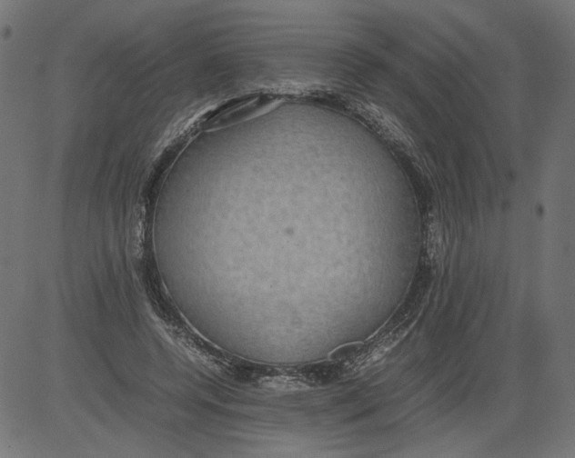 X0000081370544200702020208