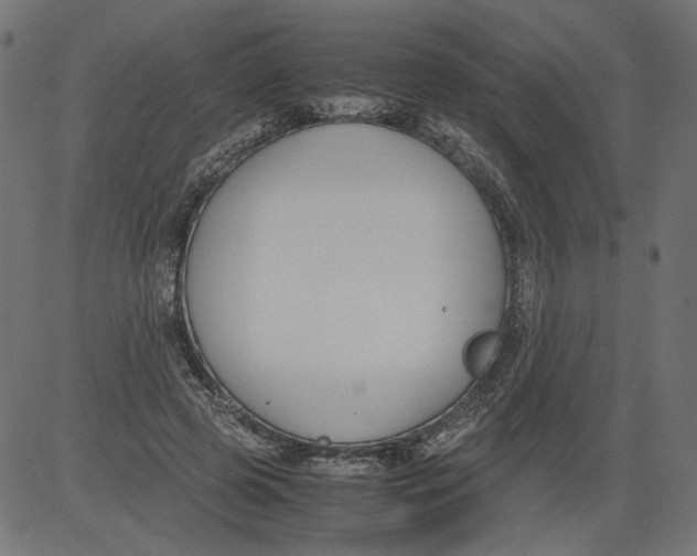 X0000081370545200702020208