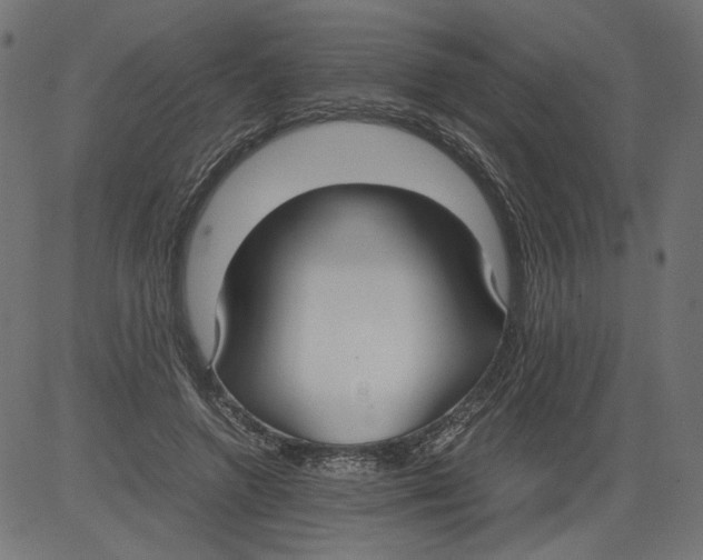 X0000081370546200702020208