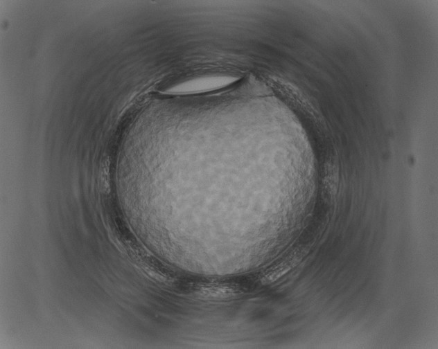 X0000081370547200702020208