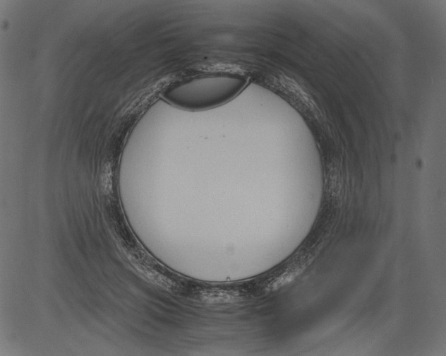 X0000081370549200702020208