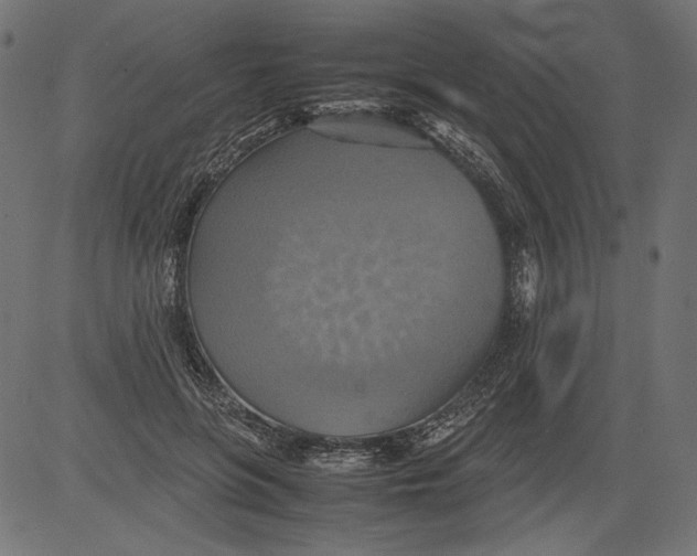 X0000081370551200702020208