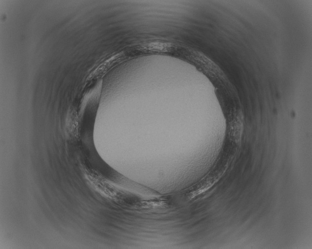 X0000081370552200702020208