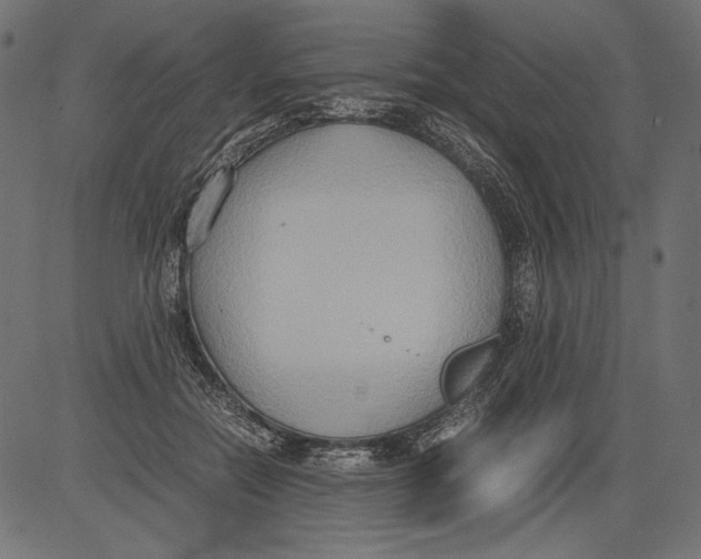 X0000081370554200702020208