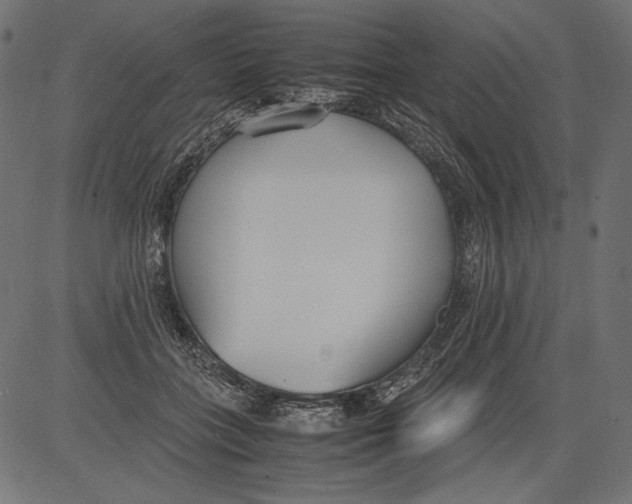 X0000081370555200702020208