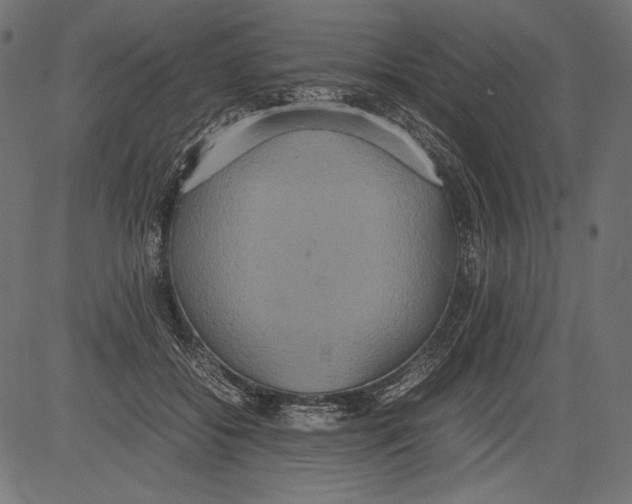 X0000081370556200702020208