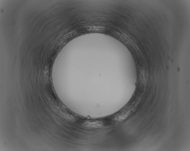 X0000081370557200702020208