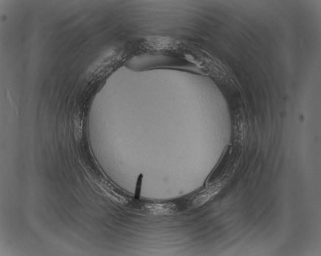 X0000081370558200702020208