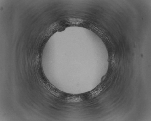 X0000081370559200702020208